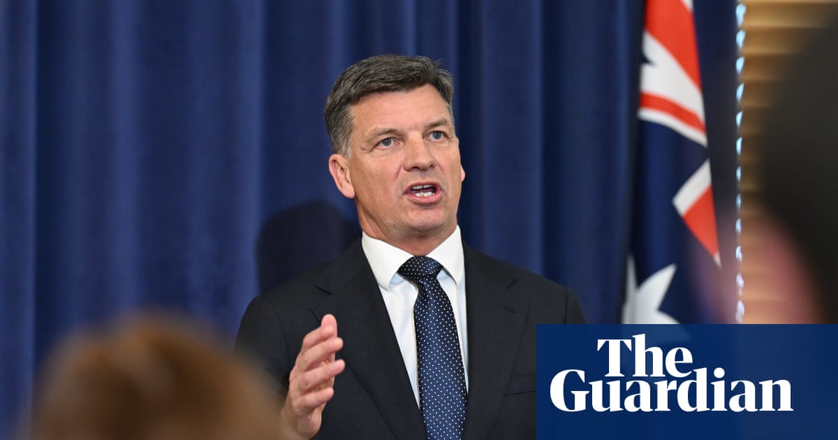 Coalition divided over tougher gambling laws - with MPs warning Angus Taylor against overreach