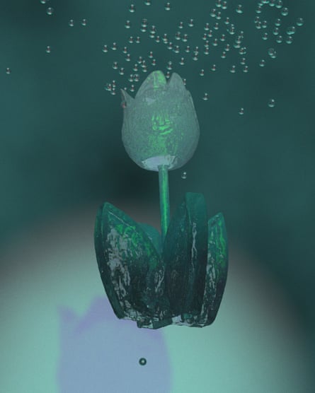 A still from Graft Versus Host.