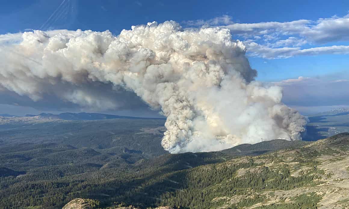 Scientists calculated that Canada’s wildfire season, now coming to a close, was the second worst in 20 years