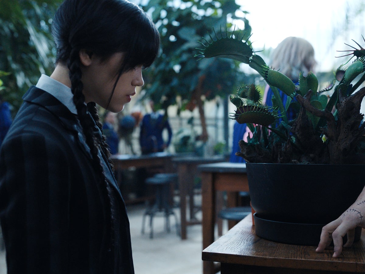 Wednesday review – Tim Burton's witty Addams Family spin-off is perfect | Television | The Guardian