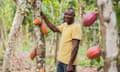 Image from Ivory Coast Trip 2022 - Nestlé Cocoa Plan: Income Accelerator Program