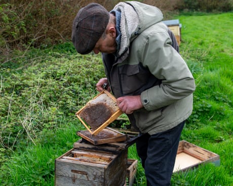 Beekeeper Richard Bray at Haywood farm, St Mabyn, Cornwall.