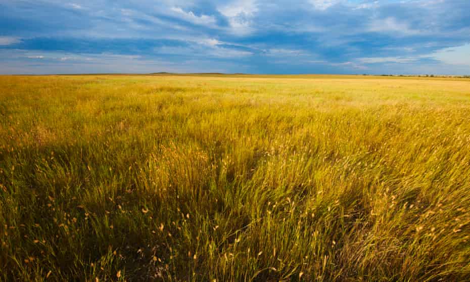 Buffalo Gap national grasslands, South Dakota, a protected prairie habitat.