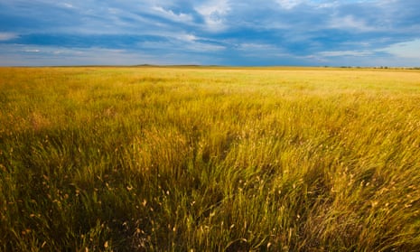 Buffalo Gap national grasslands, South Dakota, a protected prairie habitat.