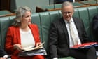 Labor ministers warned over expanded use of AI in immigration and biosecurity decisions
