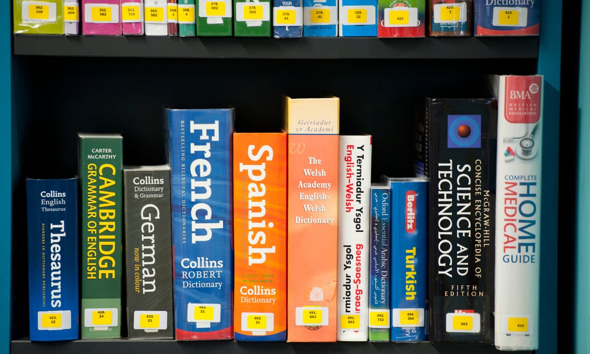 Becoming Fluent In Another Language As An Adult Might Be Impossible – But  I'm Still Going To Try | Languages | The Guardian