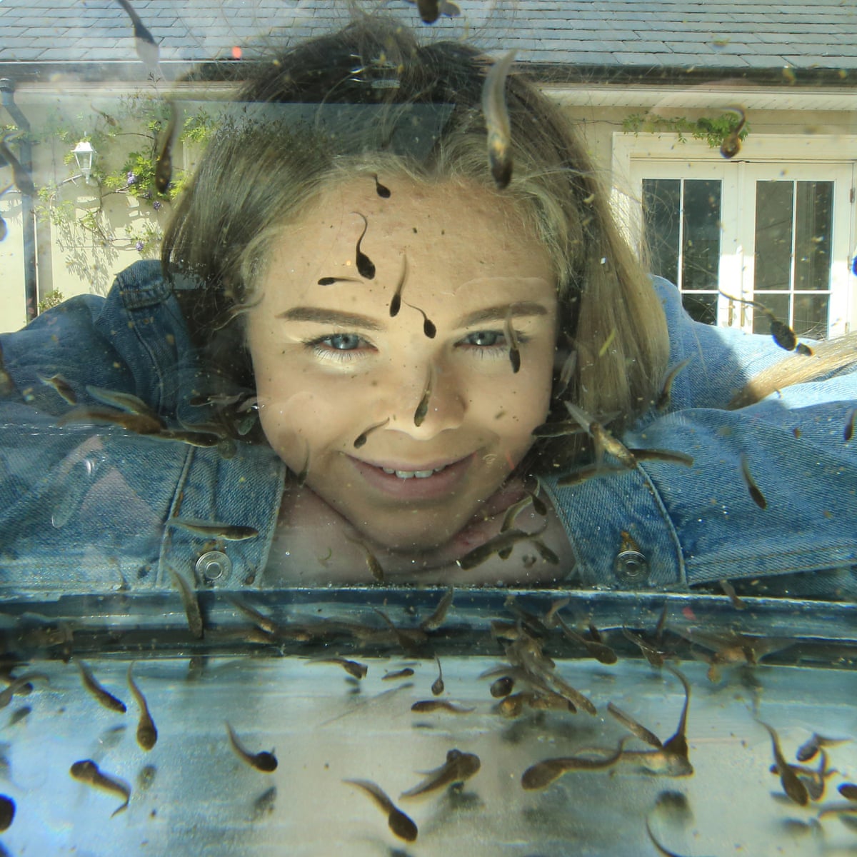Teenager's collection of 37,000 tadpoles turns her into a TikTok star |  Wildlife | The Guardian
