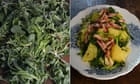 Rachel Roddy's recipe for potatoes and greens with pancetta or halloumi | A kitchen in Rome