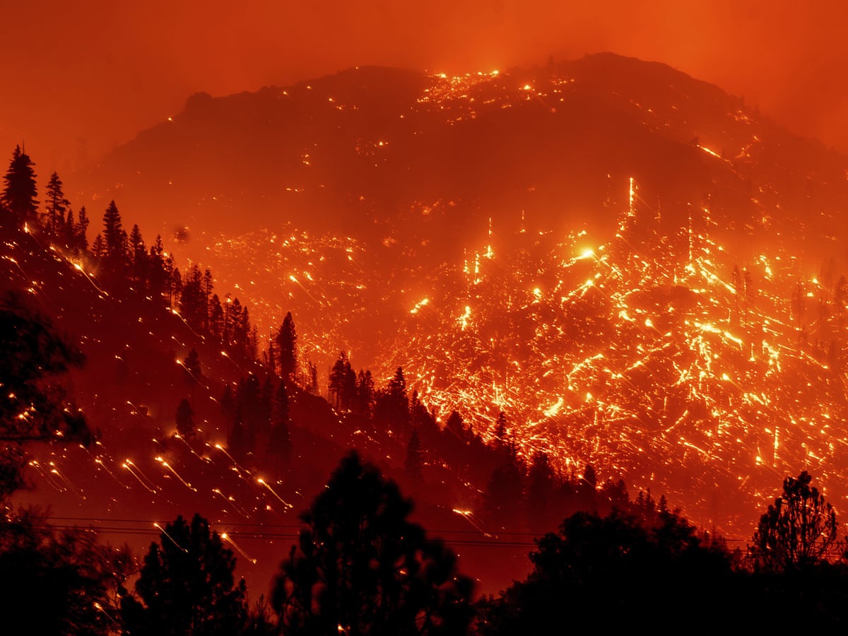 What the numbers tells us about a catastrophic year of wildfires | Climate crisis in the American west | The Guardian