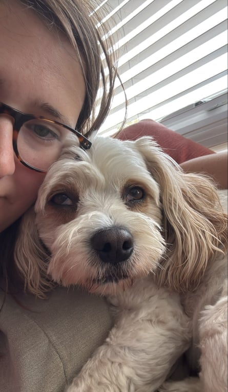 Chester, a Cavachon, is cuddled by his owner, Elizabeth