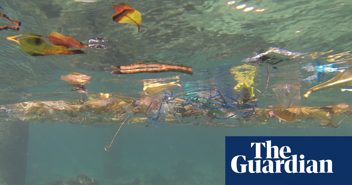 The Plastic Tsunami Pollution Across Australia S