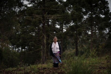 A woman in her 70s standing alone in a wooded area