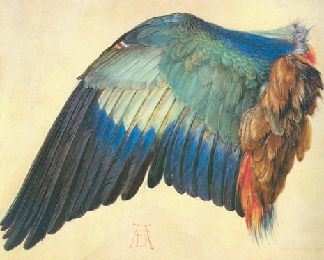 Albrecht Durer’s Wing Blue Roller (1512) ‘lends the bird a semblance of living glory’