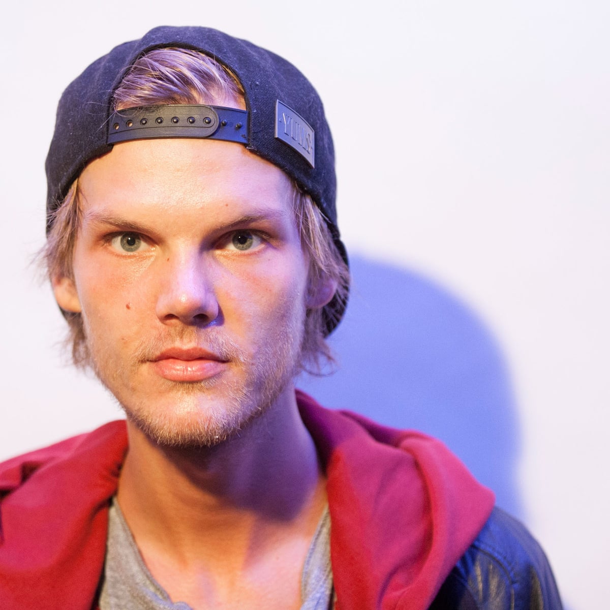 Tim: The Official Biography of Avicii by Måns Mosesson review – private struggles of the EDM poster boy | Biography books | The Guardian
