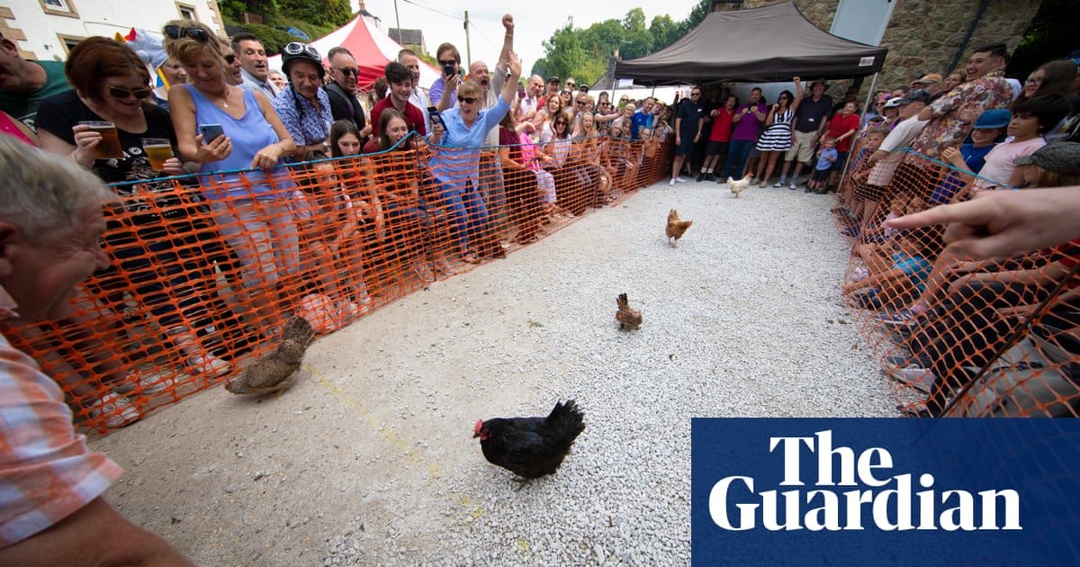 Chicken run: Derbyshire hen racing โ in pictures | UK news | The Guardian