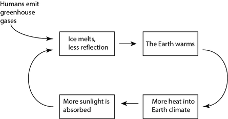 Melting ice positive feedback cycle diagram.