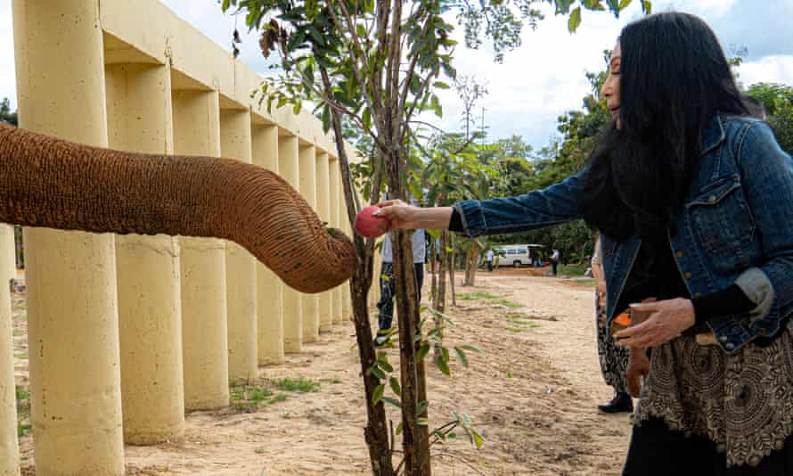 Cher interacts with Kaavan, an elephant transported from Pakistan to Cambodia, at the sanctuary in Oddar Meanchey Province earlier this month.