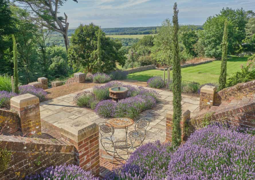Lavender at the Sussex Garden School.