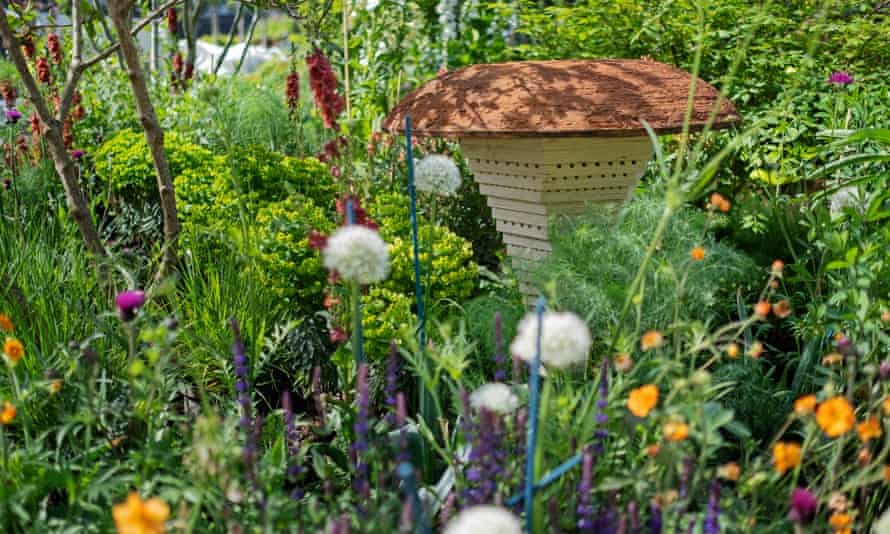 Joe Swift’s bee-friendly garden