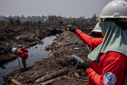 Members of the Power of Mama team patrol the forest on foot to search for undetected fires in Sungai Putri village, Ketapang Regency, West Kalimantan province.