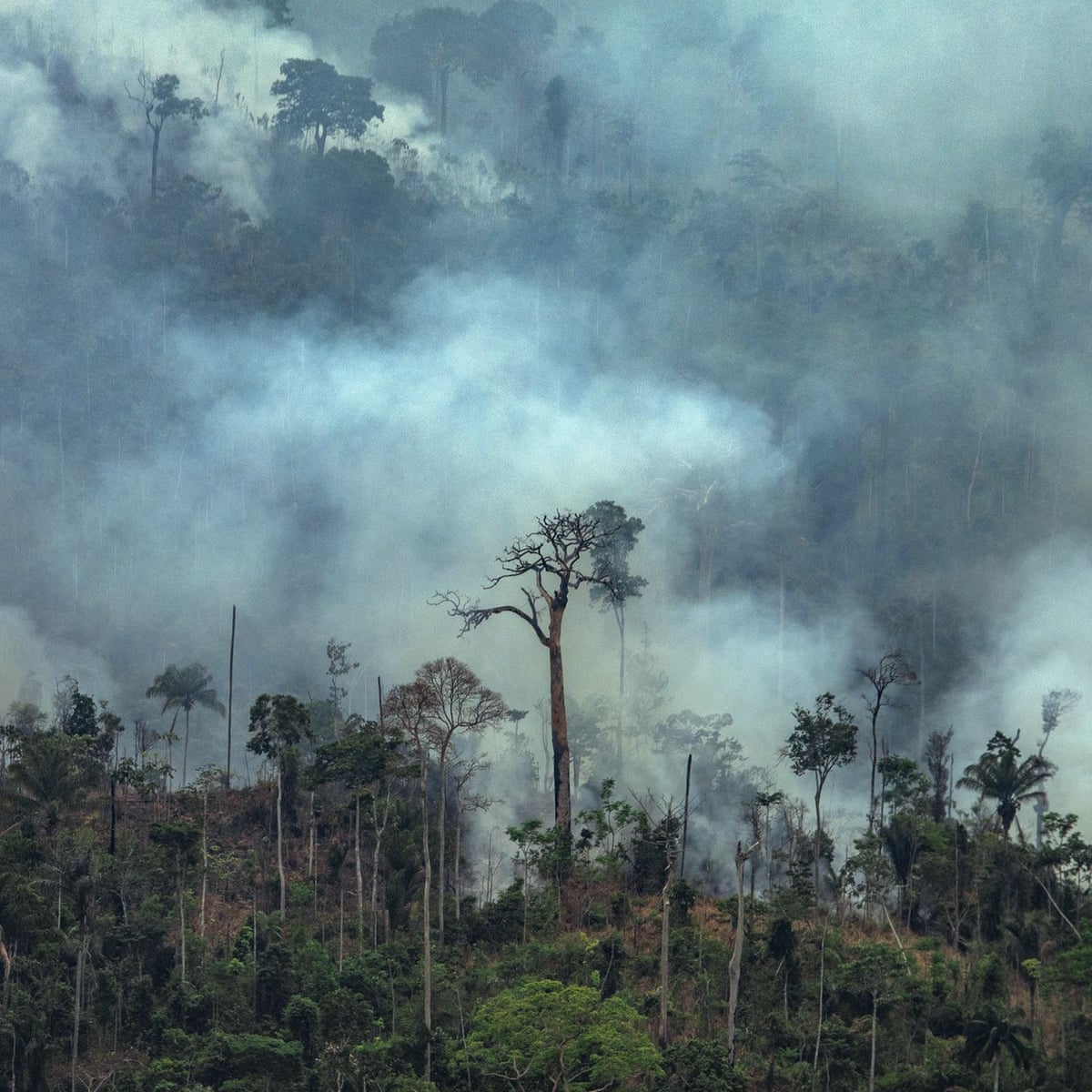 G7 Leaders Agree Plan To Help Amazon Countries Fight Wildfires G7 The Guardian