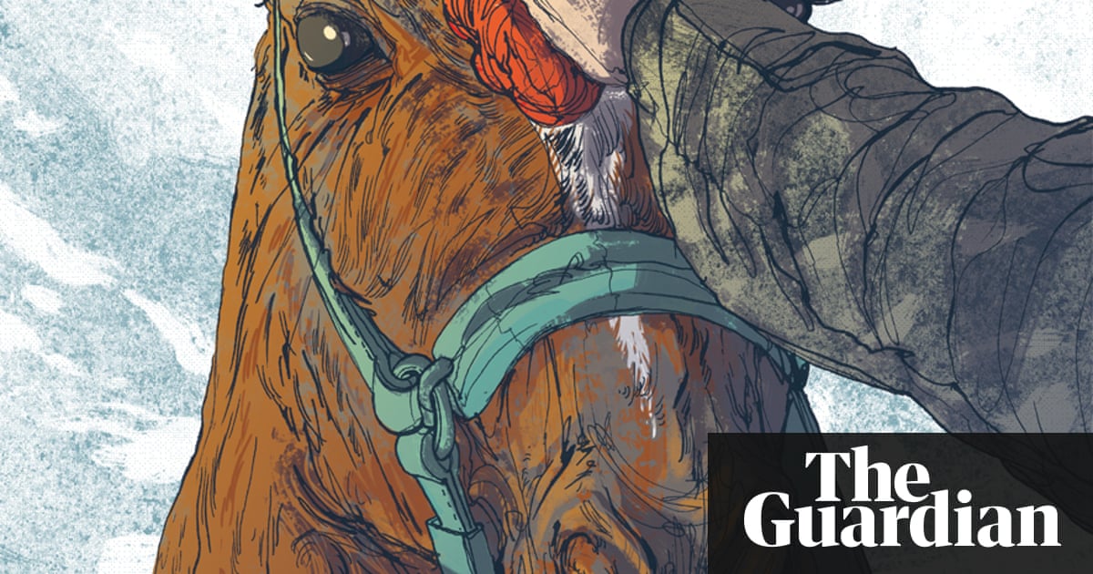 Illustrating War Horse In Pictures Books The Guardian
