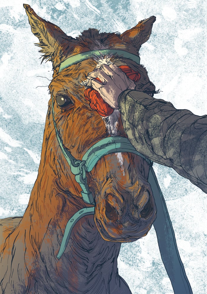 War Horse Joey Drawing