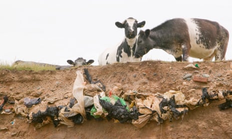 Old landfill rubbish revealed in sea cliffs by coastal erosion.