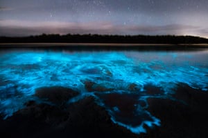 Água bioluminescente