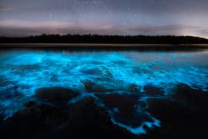 Bioluminescent water