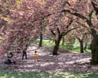 Whistler by Ann Patchett review – a saccharine story of reunion