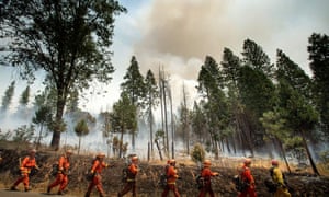 Firefighters battle the Ferguson fire in Jerseydale, California.