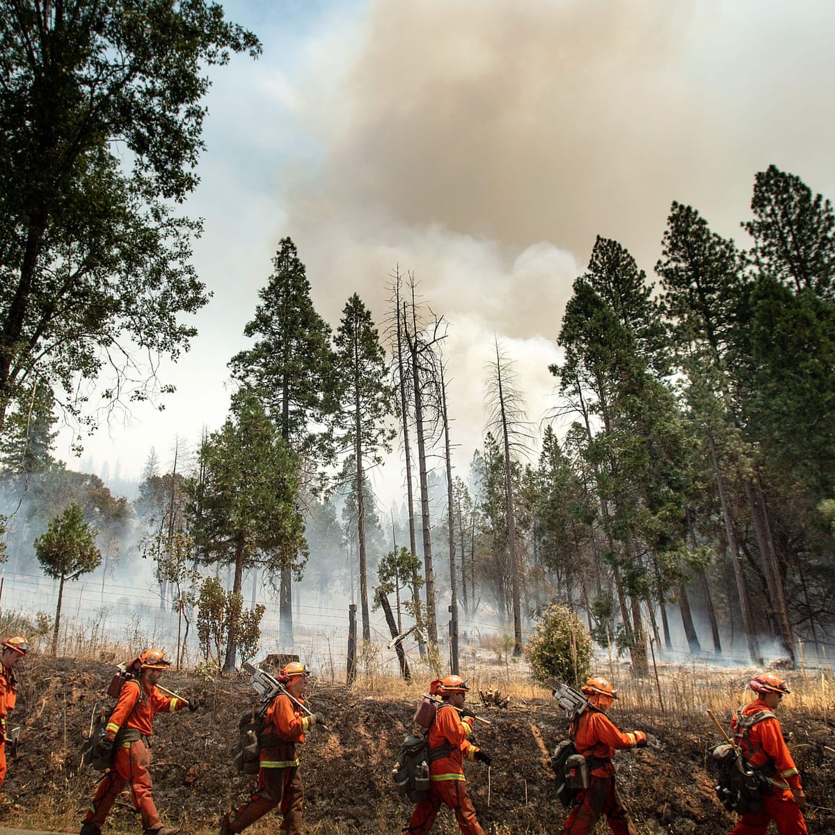 California S Rainfall Is At Historic Lows That Spells Trouble For Wildfires And Farms California The Guardian California S Rainfall Is At Historic Lows That Spells Trouble For Wildfires And Farms California The Guardian