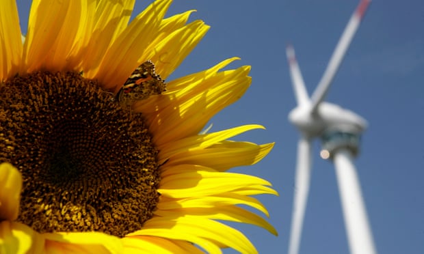 A butterfly sits on a sunflower in front of a wind generator in Bruck and der Leitha, near Vienna, Austria.