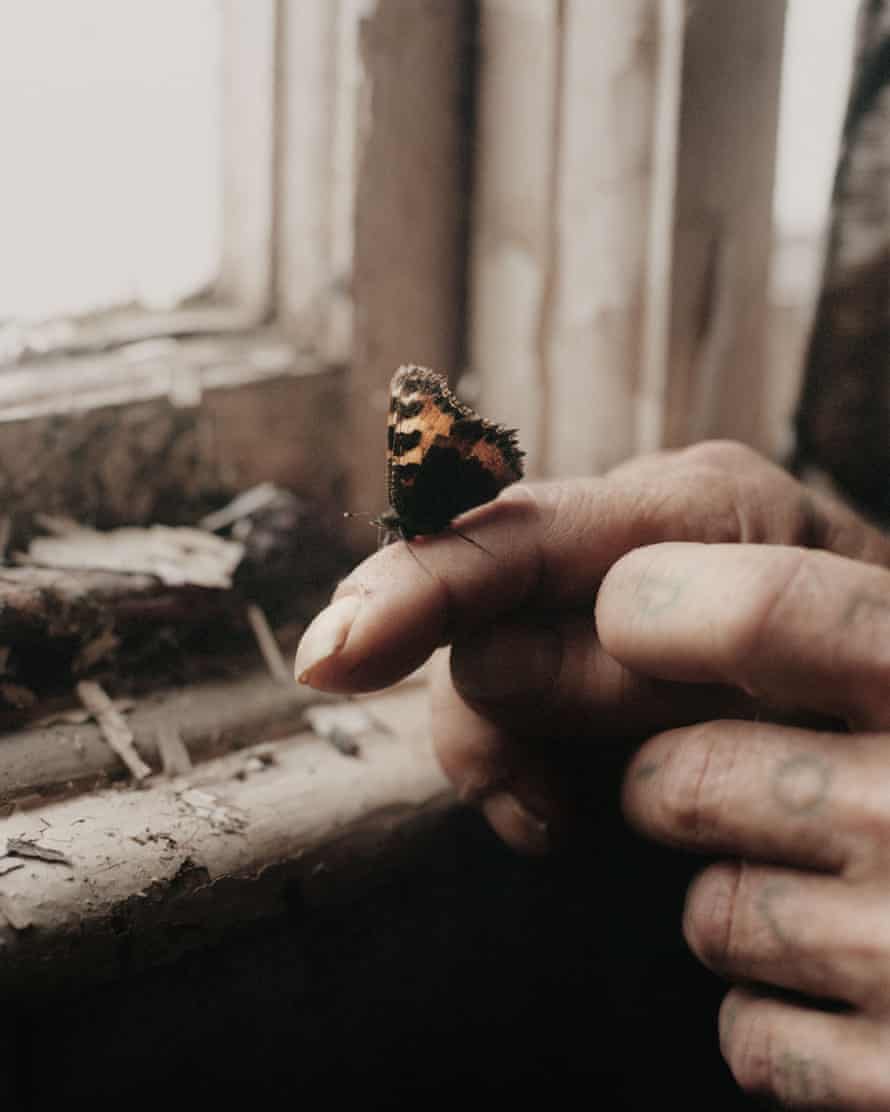 Butterfly (2020), from the series, Land Loss