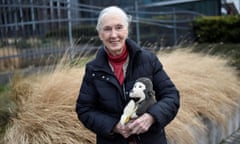 British primatologist Jane Goodall poses with a toy monkey. The Jane Goodall Institute no longer shares images of Goodall interacting with animals.