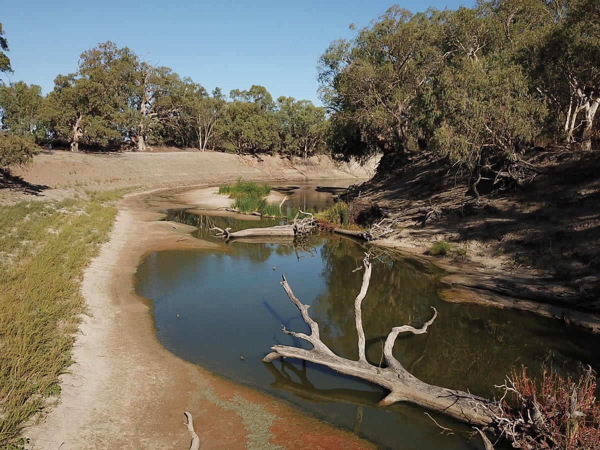 Water Wars Will Politics Destroy The Murray Darling Basin Plan And The River System Itself Murray Darling Basin The Guardian Water Wars Will Politics Destroy The Murray Darling Basin Plan And The River System Itself Murray Darling Basin The Guardian
