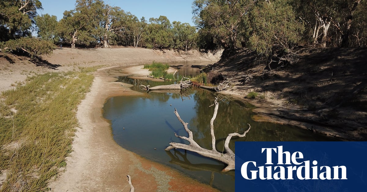 NSW government faces crunch call on water rights as drought deepens - The Guardian