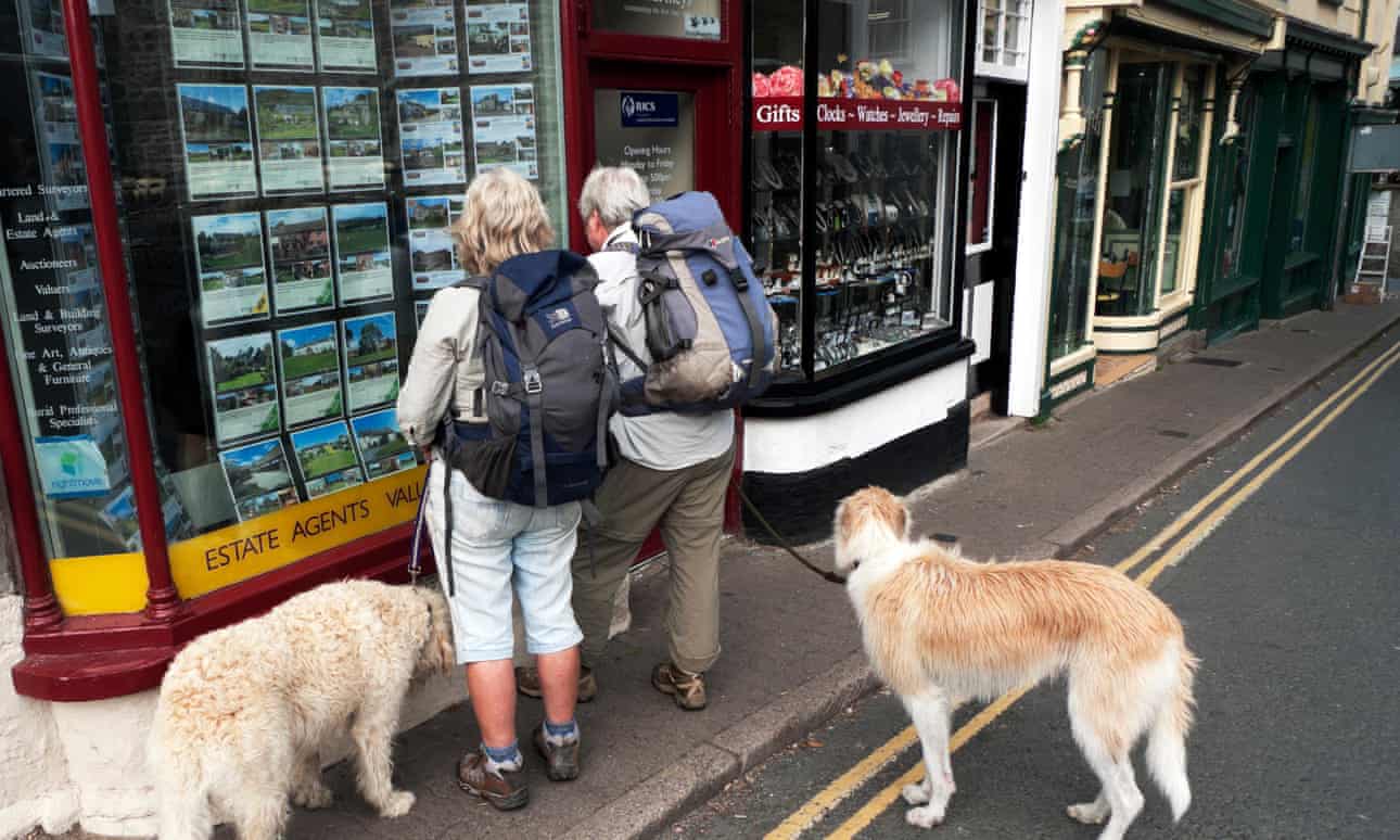 Walkers and their digs peer into an estate agent window
