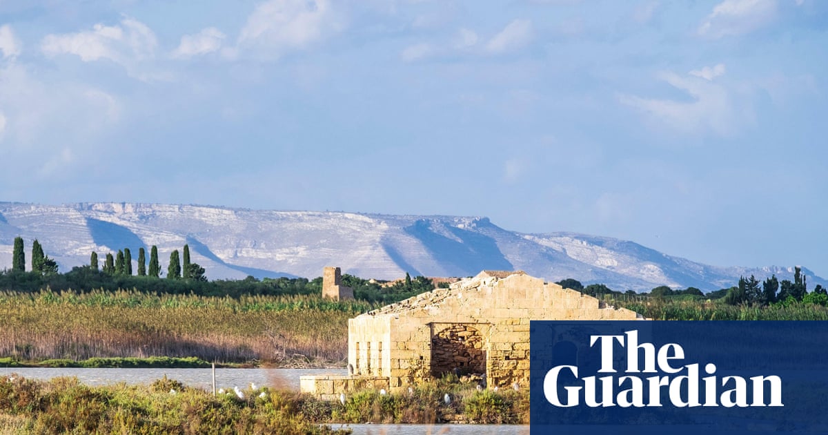 Pink flamingos and shimmering lemon groves: exploring Sicily’s Vendicari nature reserve | Sicily holidays Pink flamingos and shimmering lemon groves: exploring Sicily’s Vendicari nature reserve | Sicily holidays