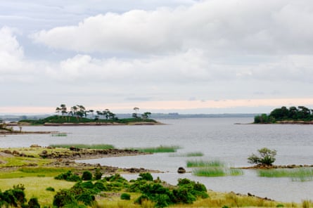 Irish lake studded with small islands of trees
