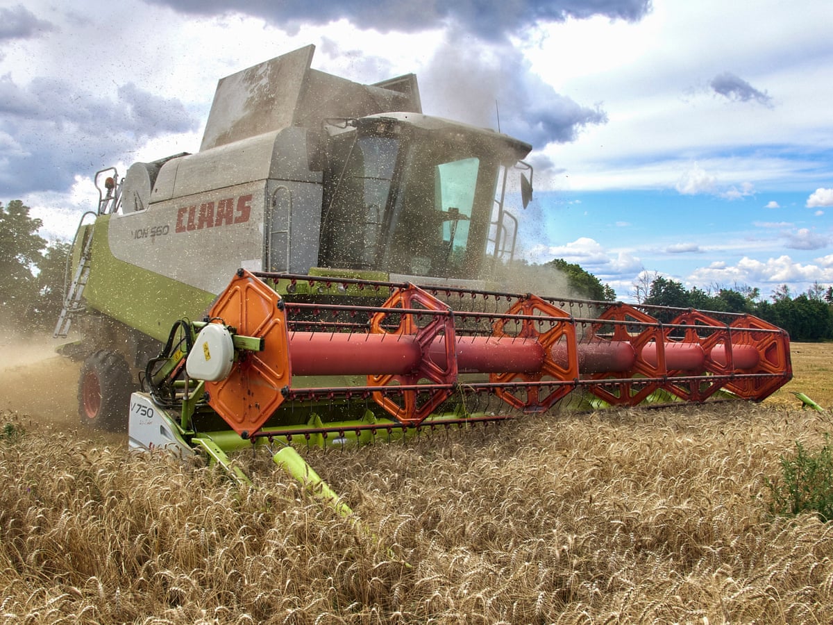 Russia-Ukraine war: what we know on day 149 of the invasion | Ukraine | The Guardian