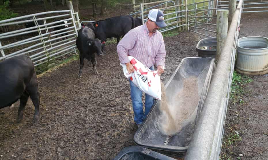 Brad Parton, a rancher and educator in Fayetteville, Tennessee, says, “Young people just don’t seem to care about where their food comes from.”