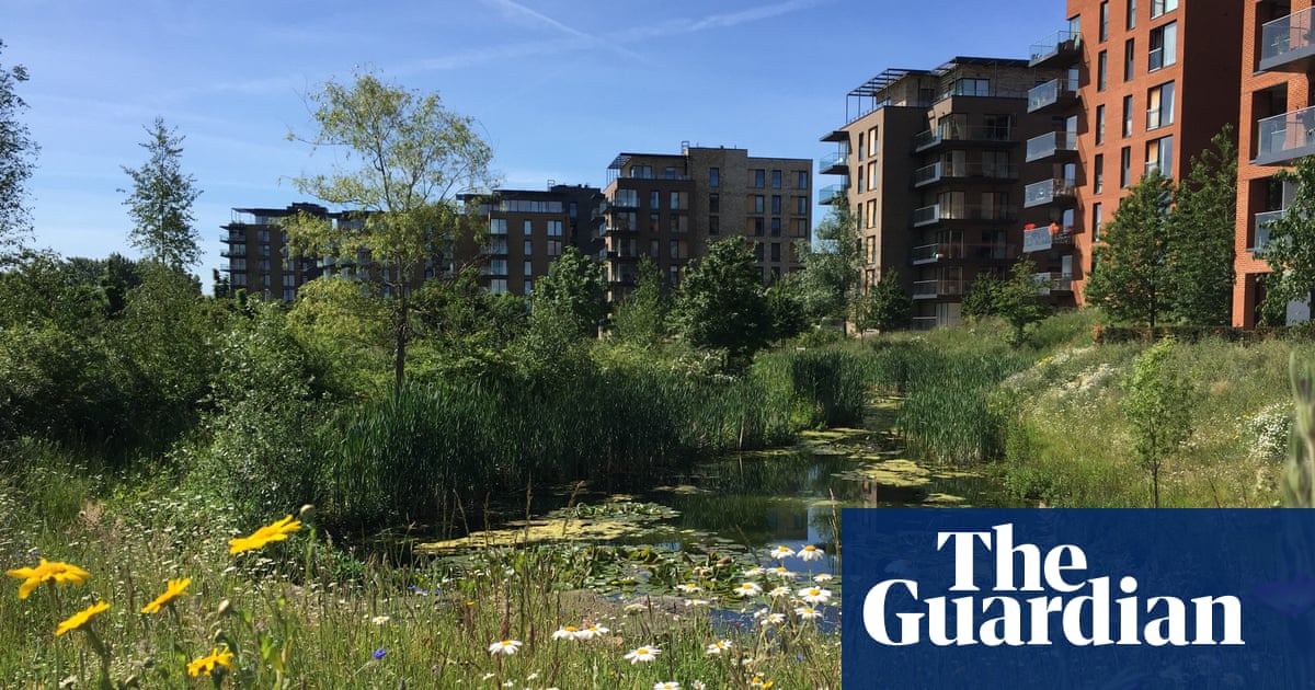 People love being here': London development shows harmony between nature and housing