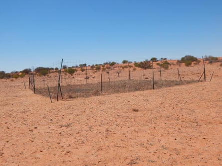 A square fence surrounds a plot of grass in the middle of a desert