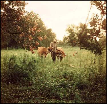 Untitled 1956Parks attended a segregated elementary school. His high school had both black people and white people, because the town was too small for segregated high schools, but black students were not allowed to play sports or attend school social activities, and they were discouraged from developing aspirations for higher education. Parks related, in a documentary on his life, that his teacher told him that his desire to go to college would be a waste of money.
