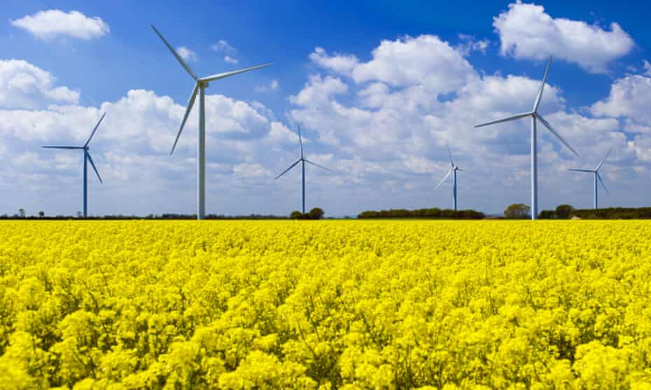 Wind turbines in a field