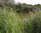 Sviluppatori minacciano area umida di 2000 anni nel Devon, citando ostacoli ai piani abitativi del Labour