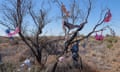 A tree strewn with bras in an outback setting