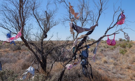 ‘An unexplained phenomenon’: the Australian obsession for putting stuff in trees